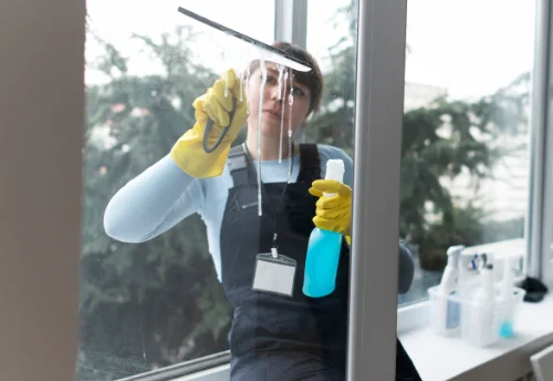 Nettoyage de vitres intérieures et extérieures à Saint-Jean-de-la-Motte